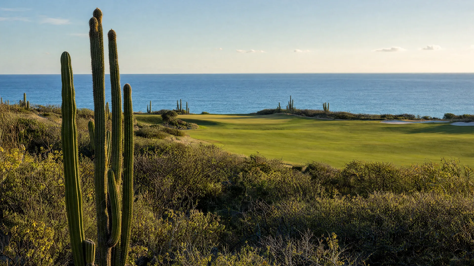 Desert scrub and a golf course facing the sea in Los Cabos in the morning